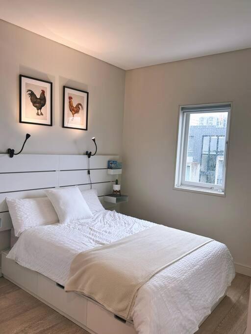 Bondi Haven Apartment *